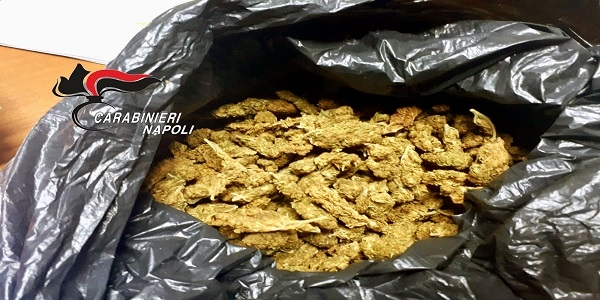 Campania: blitz dei Carabinieri per esecuzione di misure cautelari a carico di 7 trafficanti di droga