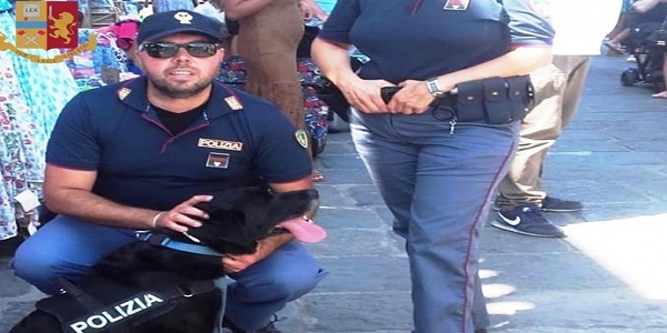 Sorrento: con l'aiuto del cane antidroga Nora, la polizia arresta uno spacciatore