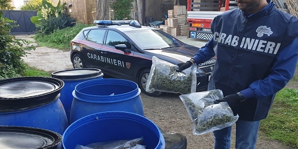 Marano: i CC sequestrano 112 kg. di marijuana e 49210 euro. Arrestati due uomini