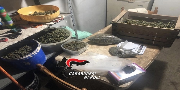 Giugliano: arrestato un uomo. Aveva costruito una serra artigianale nella sua cantina