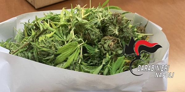 Bacoli: arrestato un 22enne. Nel suo appartamento sono stati trovati 72 grammi di marijuana