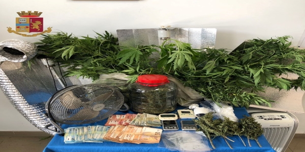 Napoli: la polizia scopre una serra di marijuana. Arrestato un uomo