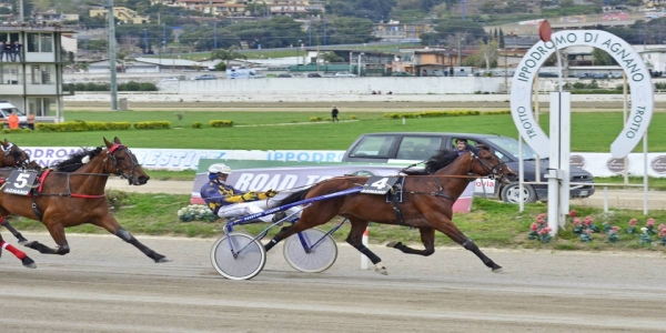 A Pasquetta il 28esimo trofeo Gianni Campili, primo step per il 'Lotteria di Agnano'. 