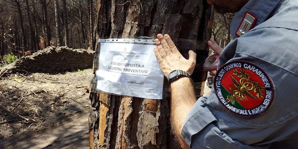 Torre del Greco: tagliano conifere e realizzano piste, 8 persone denunciate Carabinieri Forestali