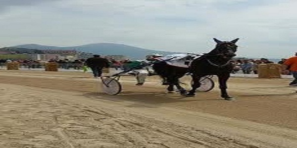 Napoli: si è svolta stamattina la Lungomare Trot Race.
