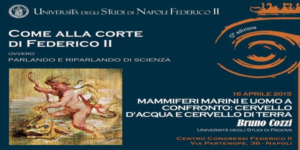 Napoli: Mammiferi marini e uomo a confronto, cervello d'acqua e cervello di terra