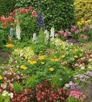 Il linguaggio dei fiori.