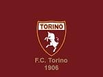 Serie Bwin 37^ turno: Toro in vetta, la Nocerina aggancia i play out