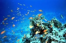 22 Maggio: Giornata internazionale per la BiodiversitÃ