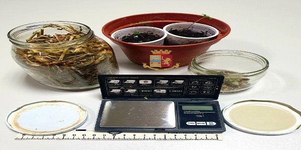 Massa Lubrense: trovata in possesso di marijuana, denunciata dalla polizia