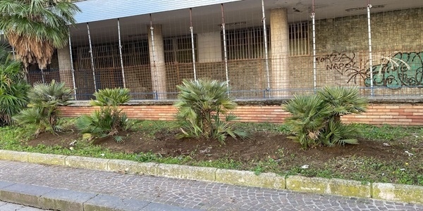 Napoli: In via di ultimazione la riqualificazione del verde di Viale Augusto