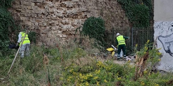Pulizia e sistemazione del verde a Cavalli di bronzo. In campo Asia e Napoli Servizi