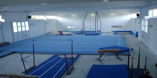GINNASTICA: TECNICI ED UFFICIALI DI GARA SI PREPARANO PER IL 2017.