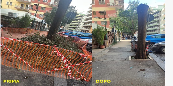Municipalità 5 e Poggioreale: interventi di decoro urbano 